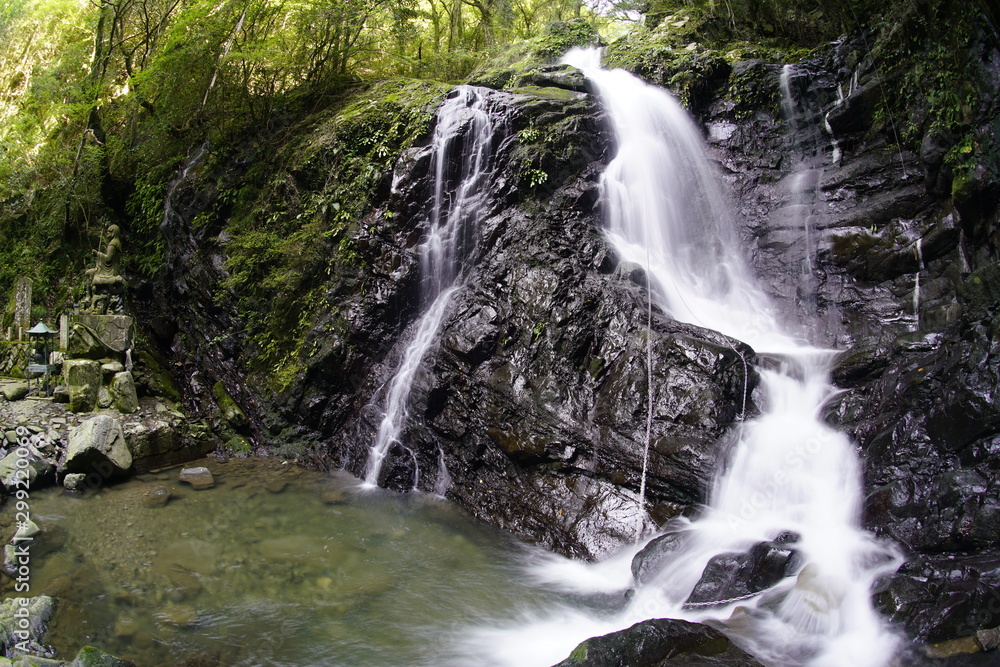 Fototapeta premium 山間の小滝