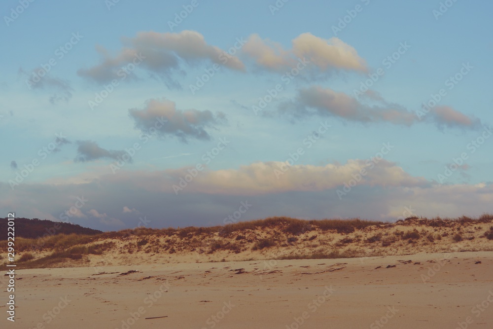 dunas de una playa salvaje y solitaria una tarde de otoño dunas de una playa salvaje y solitaria una tarde de otoño