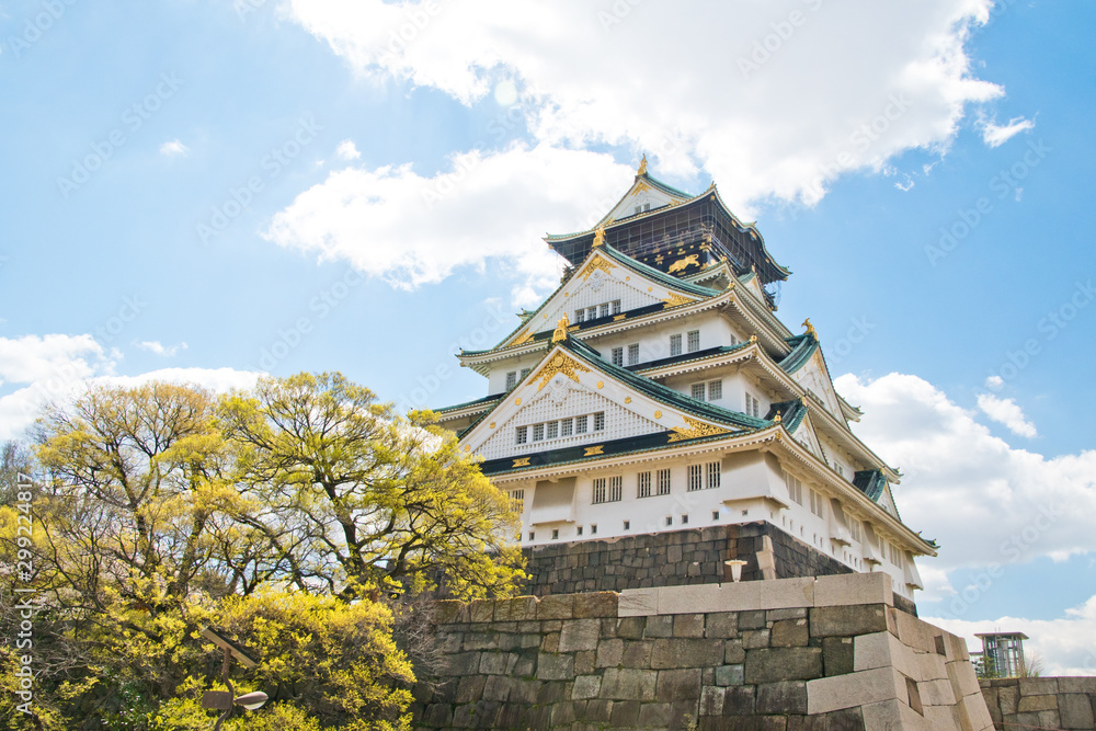 Cherry blossoms at Osaka castle in Japan