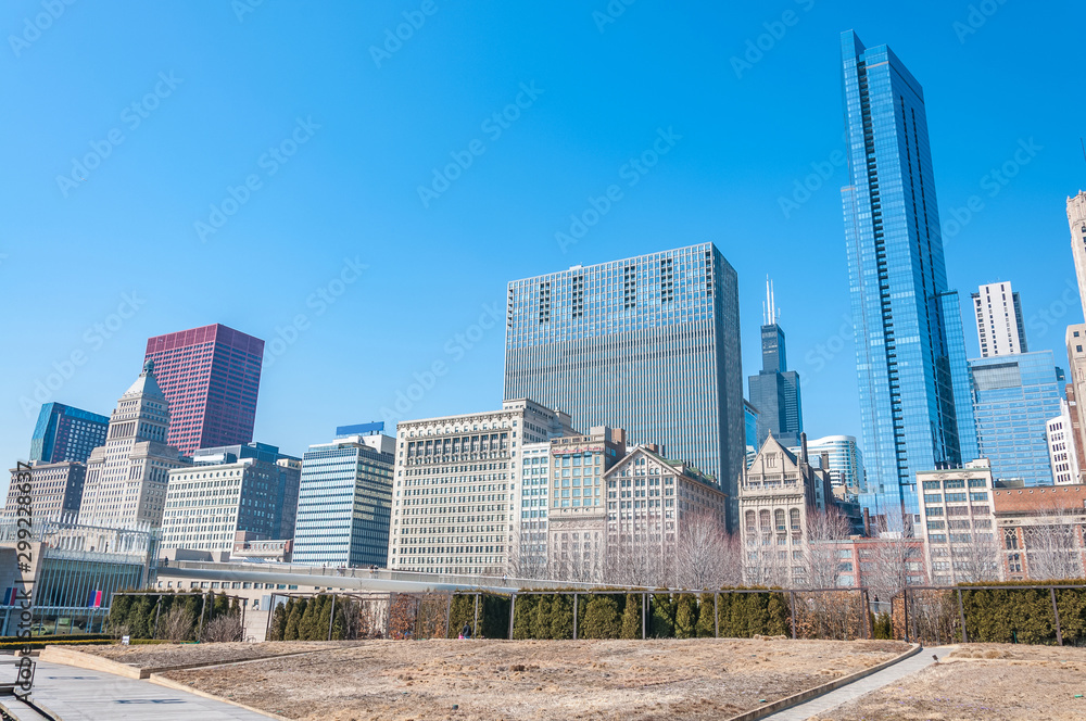Obraz premium View of Downtown of the city of Chicago
