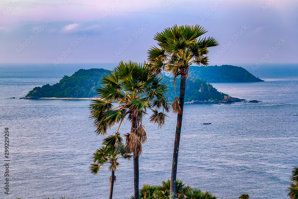 Palm trees on a cliff top overlooking the ocean and islands off the coast of Promthep Cape, Phuket Thailand