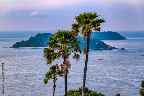 Obraz na płótnie Palm trees on a cliff top overlooking the ocean and islands off the coast of Promthep Cape, Phuket Thailand w salonie
