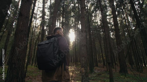 Young man walking throgh tall trees in autumn forest. Male traveler stepping up hike with backpack trekking in pine woodland on sunny day, walk slowly discovering woods. Slow motion following shot photo