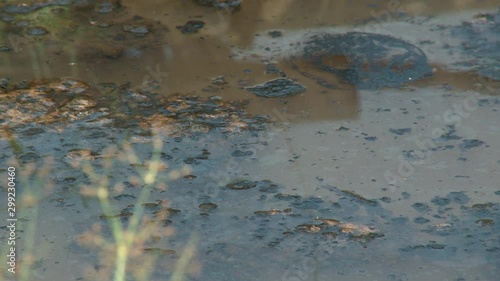 Contaminación petroleo
