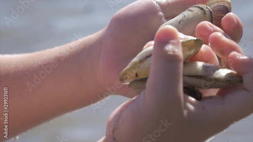 Wallpaper Mural Child holding Seafood in the water by the beach Torontodigital.ca