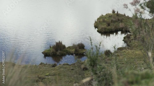 Lago en el coordillera de los Andes photo