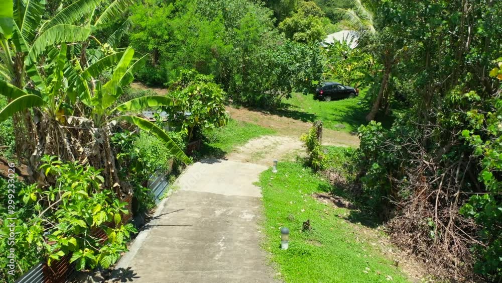 Aerial of a scenic road among lush green tropical plants, done flying backwards along the road - Bora Bora, French Polynesia Aerial of a scenic road among lush green tropical plants, done flying backwards along the road - Bora Bora, French Polynesia