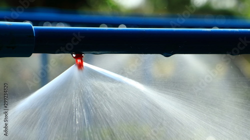 Water from sprinkler in the garden