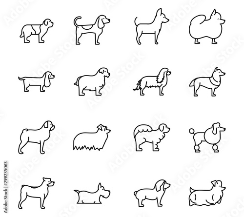 Fényképezés set of dogs breed standing icons linear style