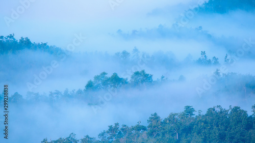 Misty cover the mountain in morning, pastel color © PRASERT