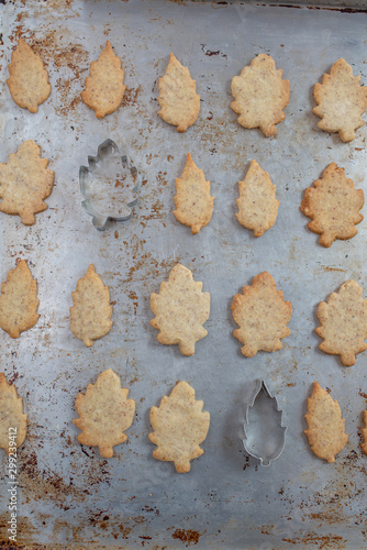 autumn leaves and home made autumn cookies