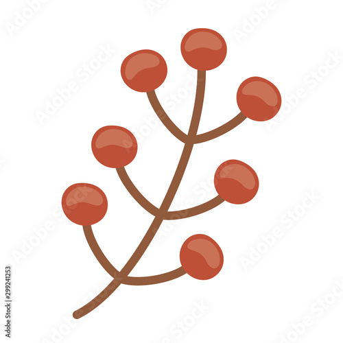 branch berries foliage autumn on white background