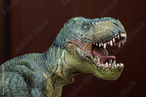 Realistic dinosaur model, Tyrannosaurus head close up