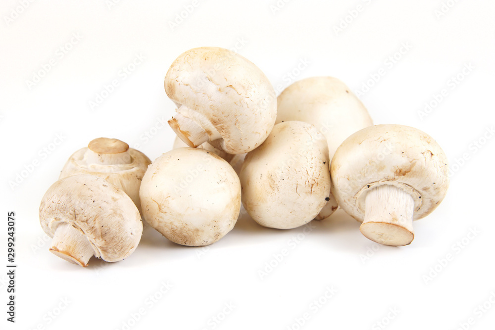 Champignons mushrooms on white background Champignons mushrooms on white background