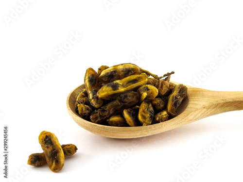 Dried fruits of Sophora japonica lie in a wooden spoon on a white background photo