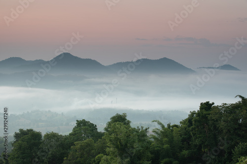 Morning mist covered on hill after sunrise at tropical forest. Thailand © snobbird