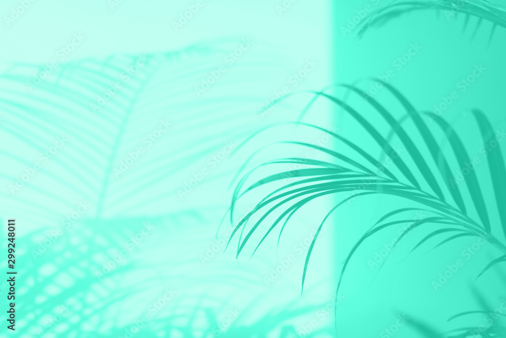 Summer travel concept. Shadow of exotic palm leaves is laying on mint color background. Banner with copy space. Trendy green and turquoise color.