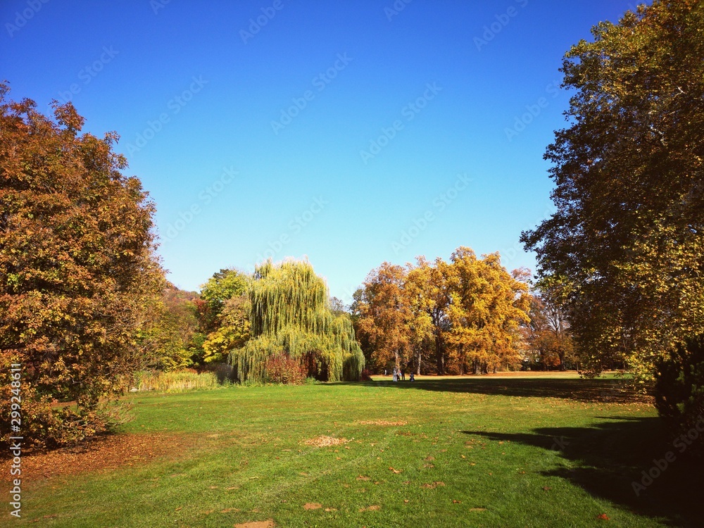 Herbst Park Allee