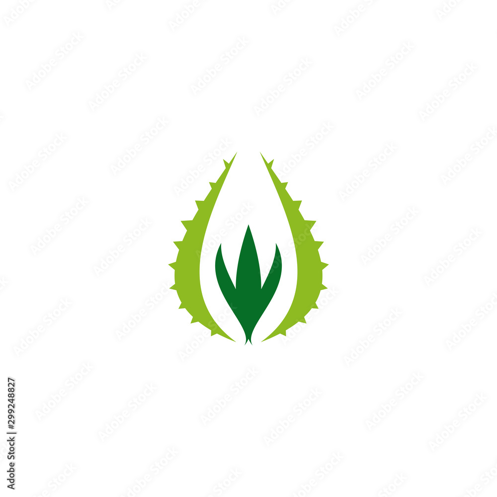 Aloe vera plant logo icon design vector template