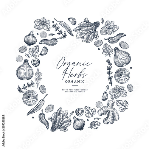 Herbs and spices round design. Ginger, spinach, onion, pepper, garlic, fennel, basil, oregano engraved vintage illustration. Vector illustration