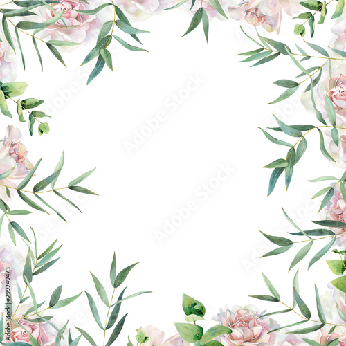 Background of watercolor roses and eucalyptus leaves. © Olga F