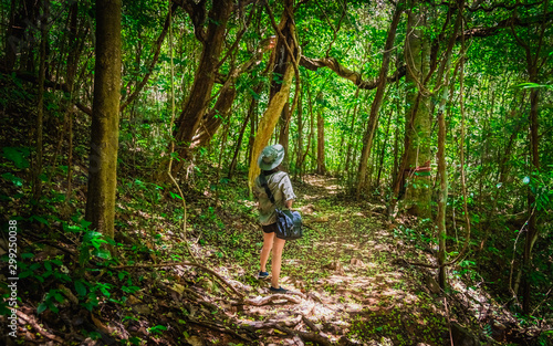 Outdoor activity lifestyle traveler woman walking in deep tropical jungle rain forest, Adventure nature tourist travel Thailand summer holiday vacation trip, Tourism beautiful destination place Asia © day2505