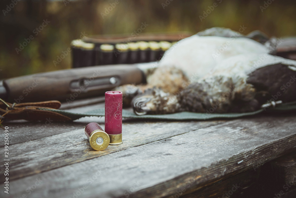 Obraz premium Two rounds in the foreground. A dead duck, a double-barreled shotgun in the background. Autumn duck hunting.