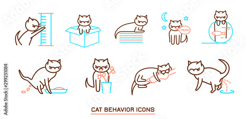 Cat Behavior Icons