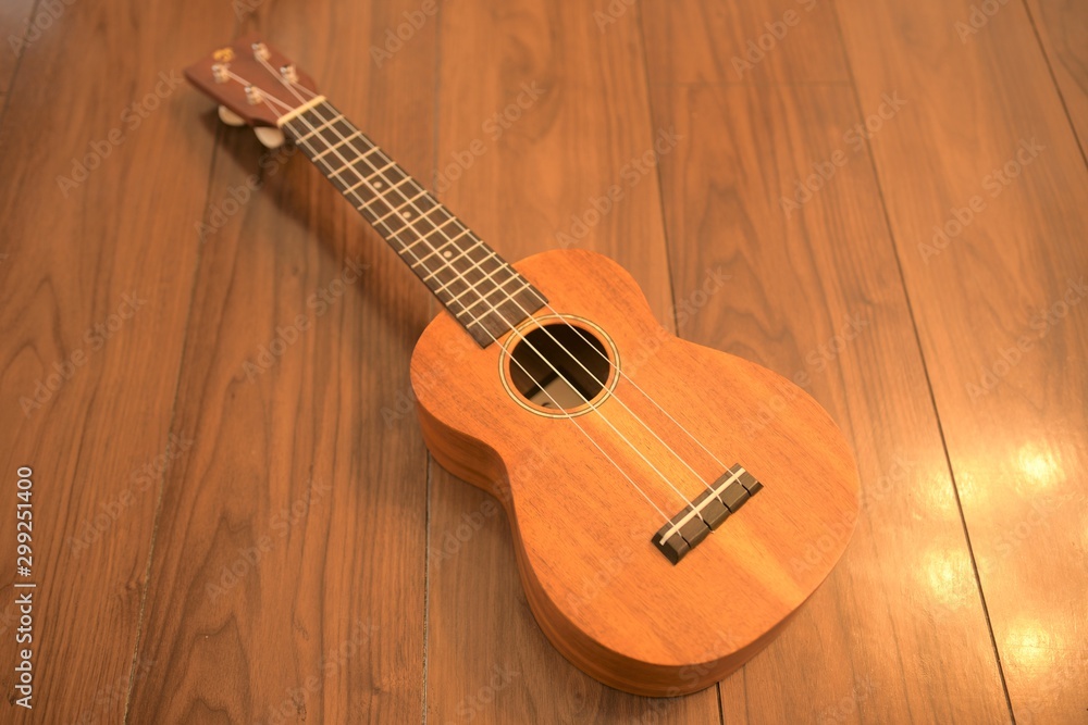 Obraz premium ウクレレ