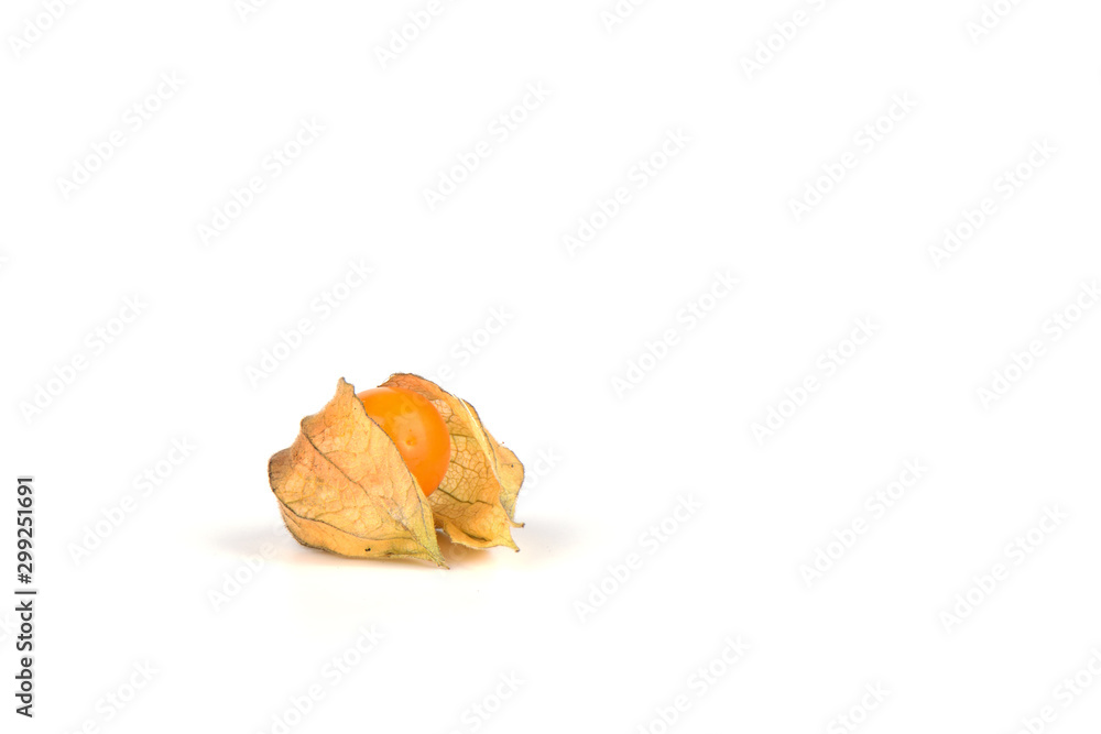 One ripe physalis isolated on a white background. One ripe physalis isolated on a white background.