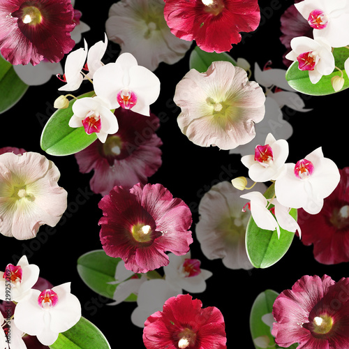 Beautiful floral background of mallow and orchid. Isolated