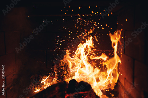 Canvas Print burning fire logs with sparks in the fireplace
