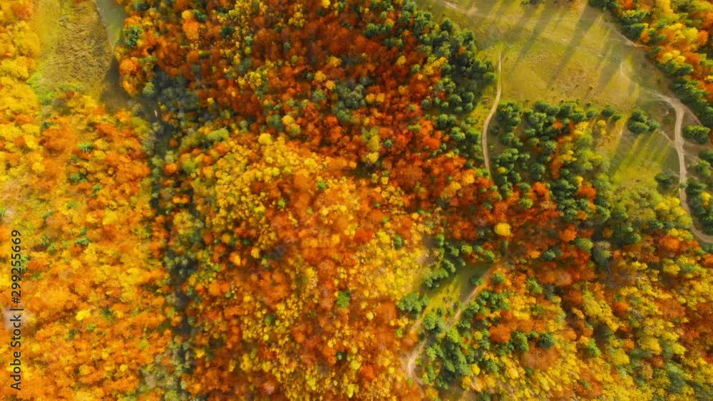Drone flight over fall forest. Autumn leaves and trees. Orange, Red, Yellow and Green beautiful scene. Drone flight over fall forest. Autumn leaves and trees. Orange, Red, Yellow and Green beautiful scene.