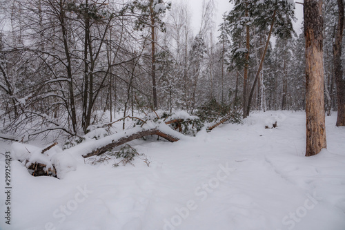 Russian Winter © Владимир Зайцев