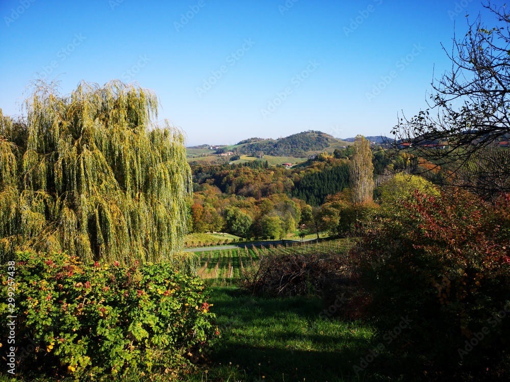 Obraz premium Herbst in der Steiermark