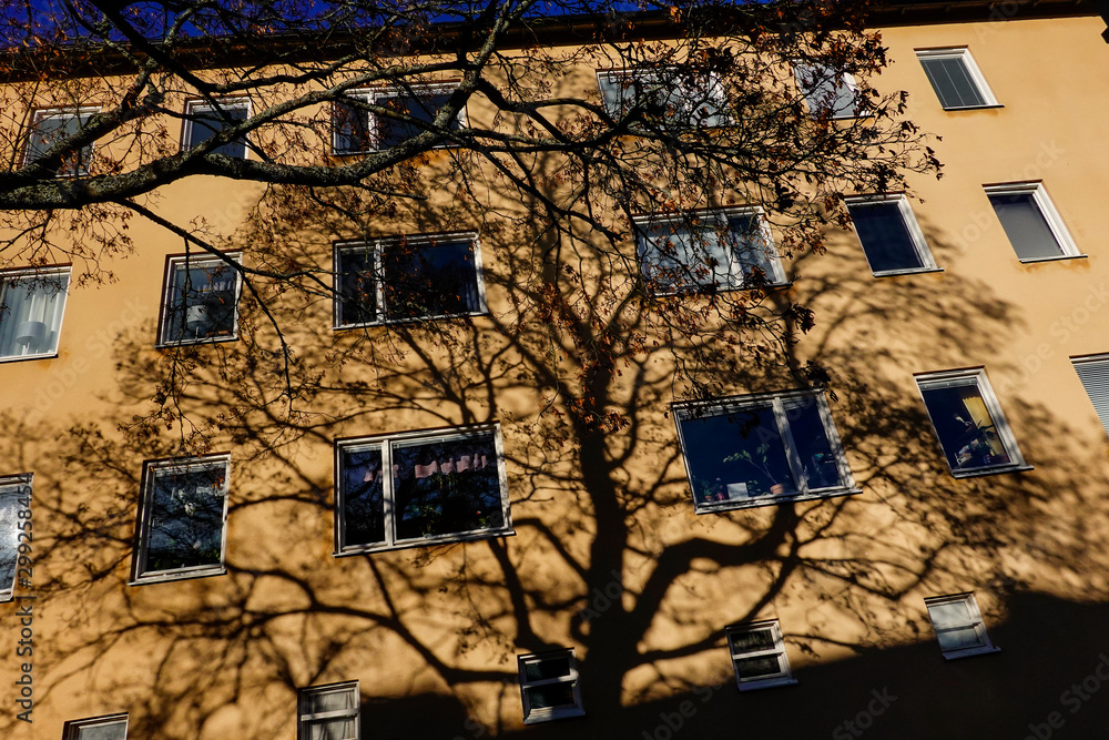 Stockholm, Sweden A house in the  Midsommarkransen neighborhood with tree shadows.