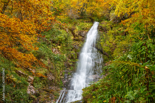 Cascada del Xiblu y Hayedo de Montegrande en otoño. Ruta de senderismo. Cordillera Cantábrica, Asturias, España.