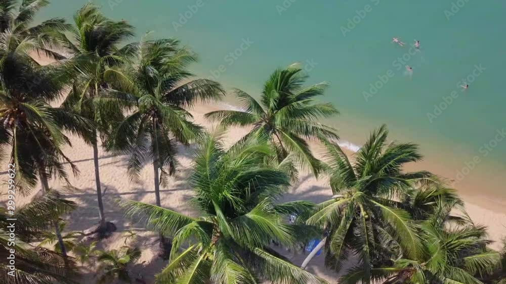 Tropical Seashore with People Relaxing on the Beach. Aerial View Tropical Seashore with People Relaxing on the Beach. Aerial View