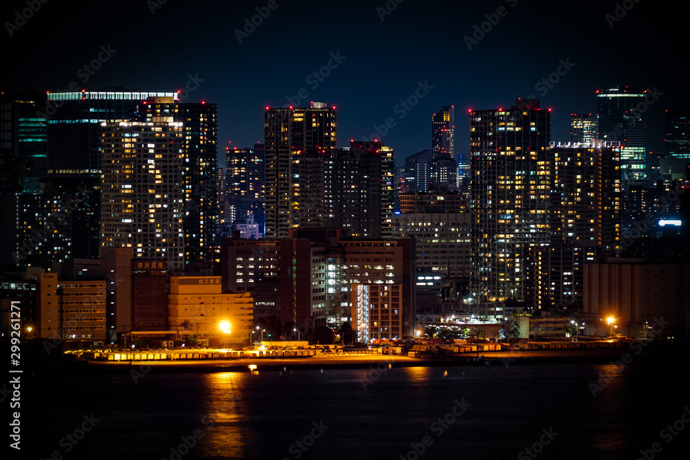 Obraz premium 東京・お台場から見える東京の夜景