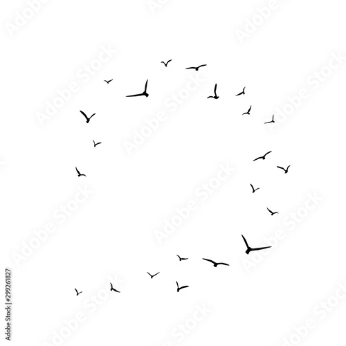Frame with flying birds. Black swallows in circle. Bird trace. Freedom, romantic, dreams, lyric.