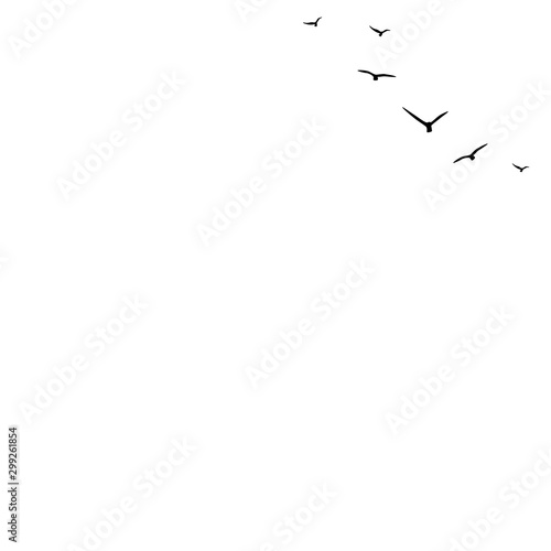 Seamless vector background with flying birds in the right corner. Black swallows in the sky on white background.