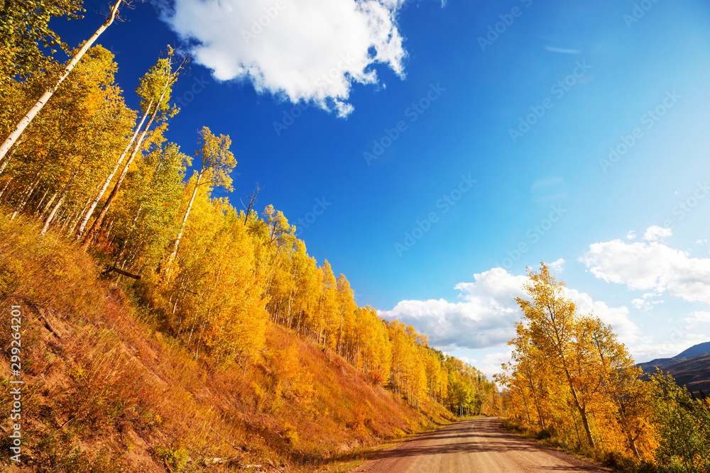 Autumn road Autumn road