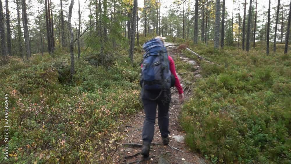 Woman hiking with backpack through woodland forest trail Woman hiking with backpack through woodland forest trail
