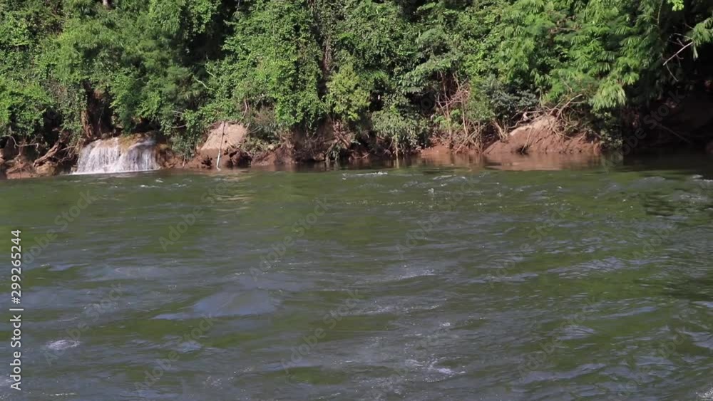 river in jungle river in jungle