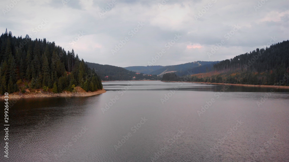 Aerial Footage of Large Lake  and mountains surrounded by Pine Forest	 trees, Romania