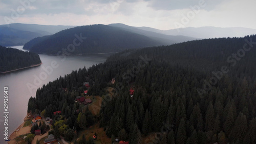 Aerial Footage of Large Lake and mountains surrounded by Pine Forest trees, Romania