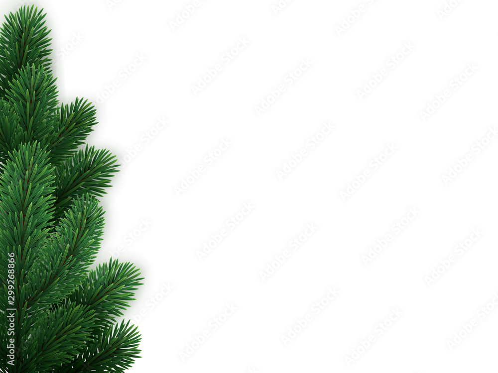Vector background of green spruce branches. Christmas tree, pine, coniferous plant. EPS 10 Vector background of green spruce branches. Christmas tree, pine, coniferous plant. EPS 10