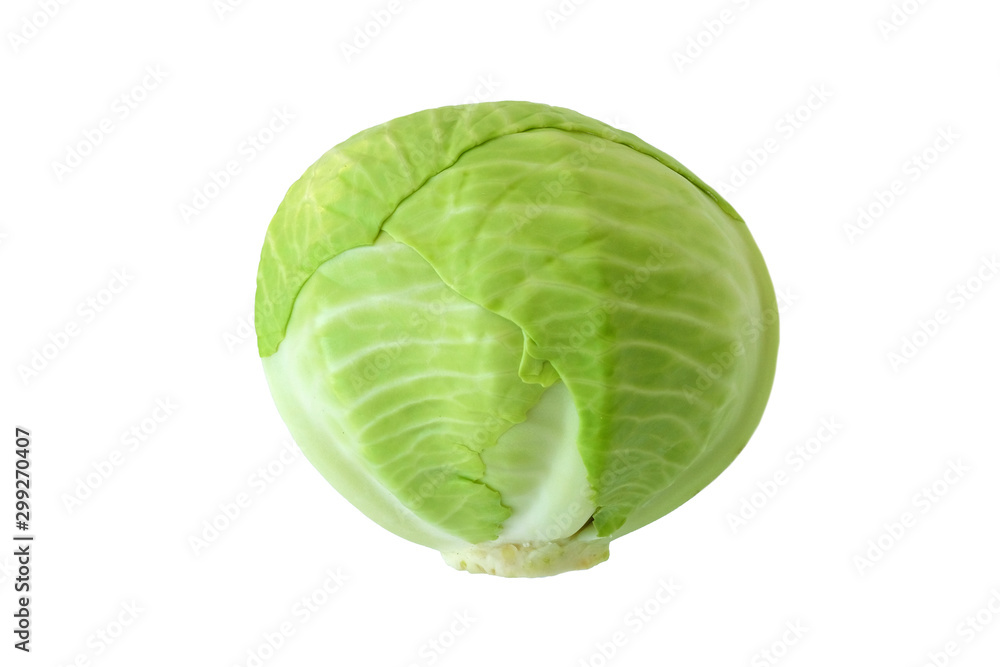 cabbage isolate on a white background. Harvest Vegetables. Design Elements cabbage isolate on a white background. Harvest Vegetables. Design Elements