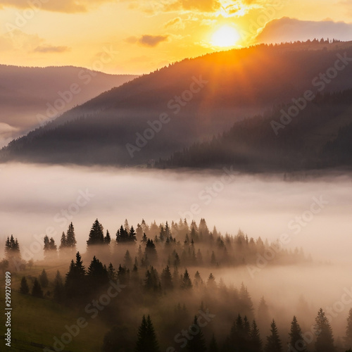 Fototapeta Naklejka Na Ścianę i Meble -  sunrise in mountains
