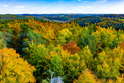Herbst Wald Laub